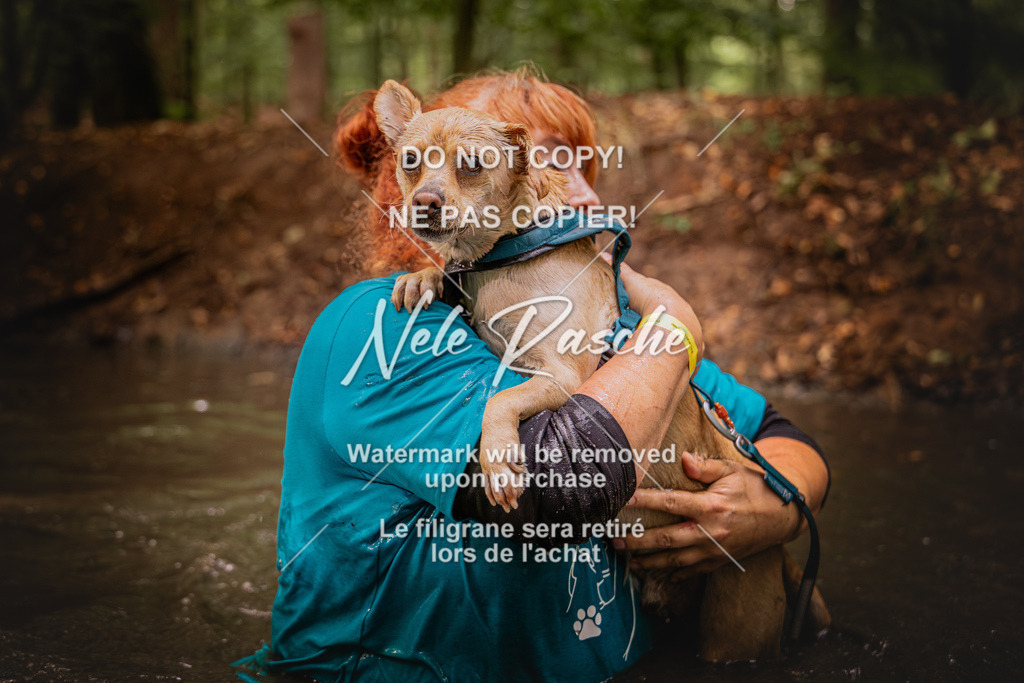 nelerasche_SaWingst1000-1030_177 | nelerasche
