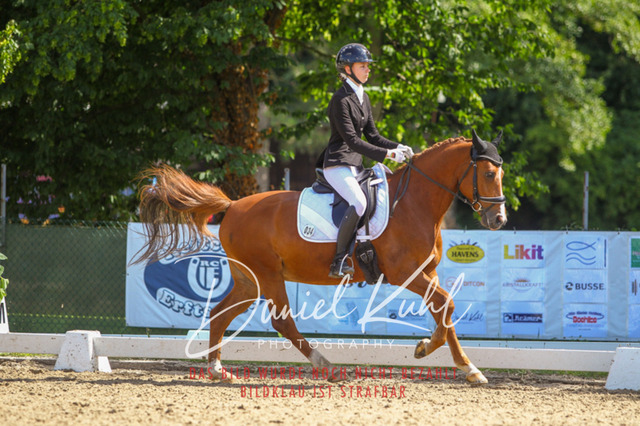 DKP42751 | Turniersportfotografie; Pferdefotografie; Dressurfotografie