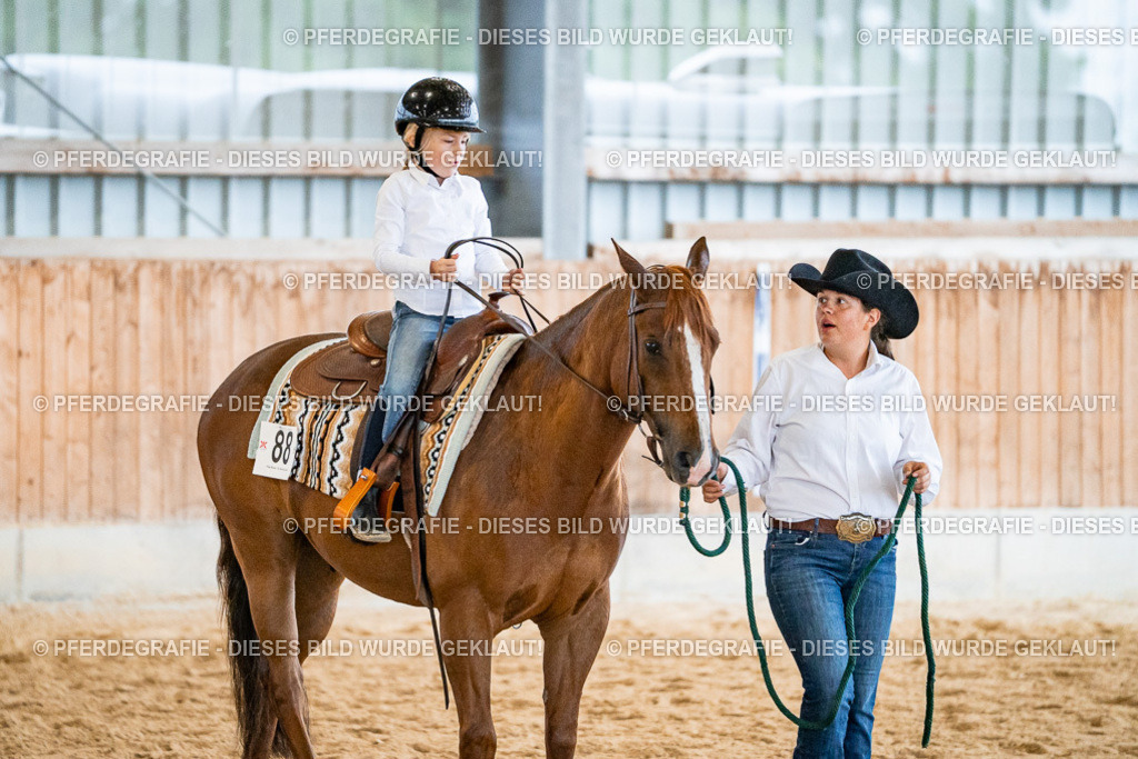 DSC00709 | Pferdegrafie