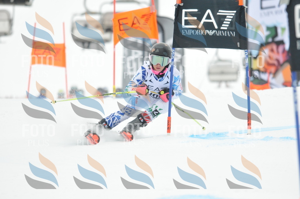 DSC_8111 | holidayphoto