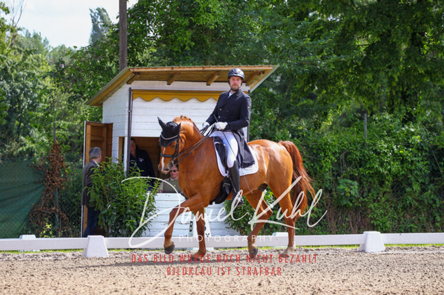 DKP41278 | Turnierfotos kaufen im Webshop von Daniel Kuhl Photography – entdecke professionelle Reitsportfotos aus Turnieren & Events. Hochwertige Turnierbilder online bestellen & sichern. Jetzt Fotos von Reitsportturnieren kaufen!