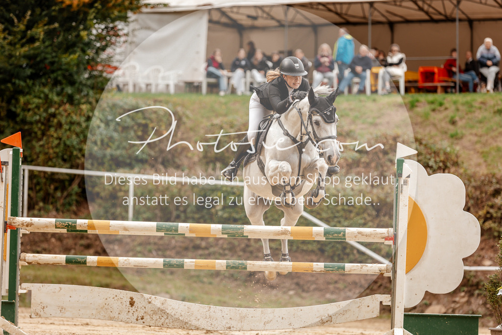 3I6A8025 | Stimmungsvolle Portraits und Reitsportfotografie im Ruhrgebiet und im Münsterland.

Pferdefotografie, Hundefotografie, Tierfotografie, Reportagen, Portraits von Tier und Mensch, Turnierfotografie in Bochum, Recklinghausen, Marl, Haltern am See, Dülmen.. - Realisiert mit Pictrs.com