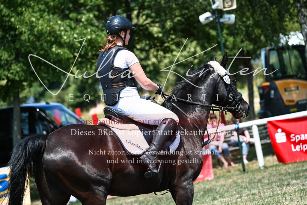 DSC_0429 | Pferde- und Turnierfotografie in Westsachsen. Pferdeportraits, Auftragszeichnungen und intuitive Kunst.