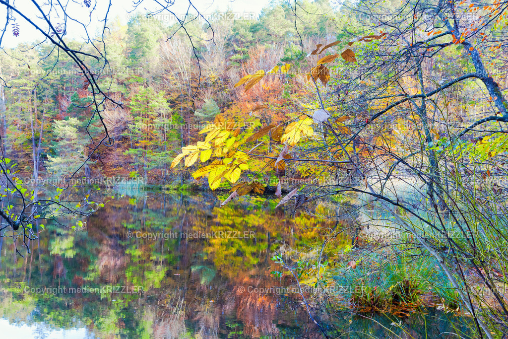 _J3A8850 | medienkrizzler - Realisiert mit Pictrs.com