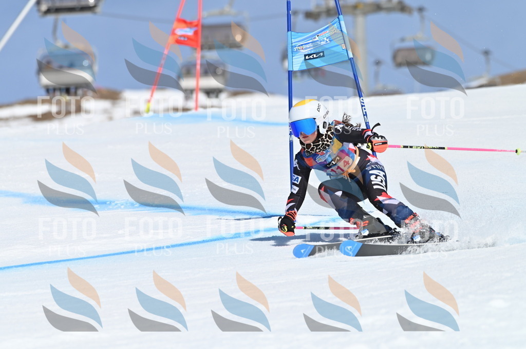 BGV_9707 | holidayphoto