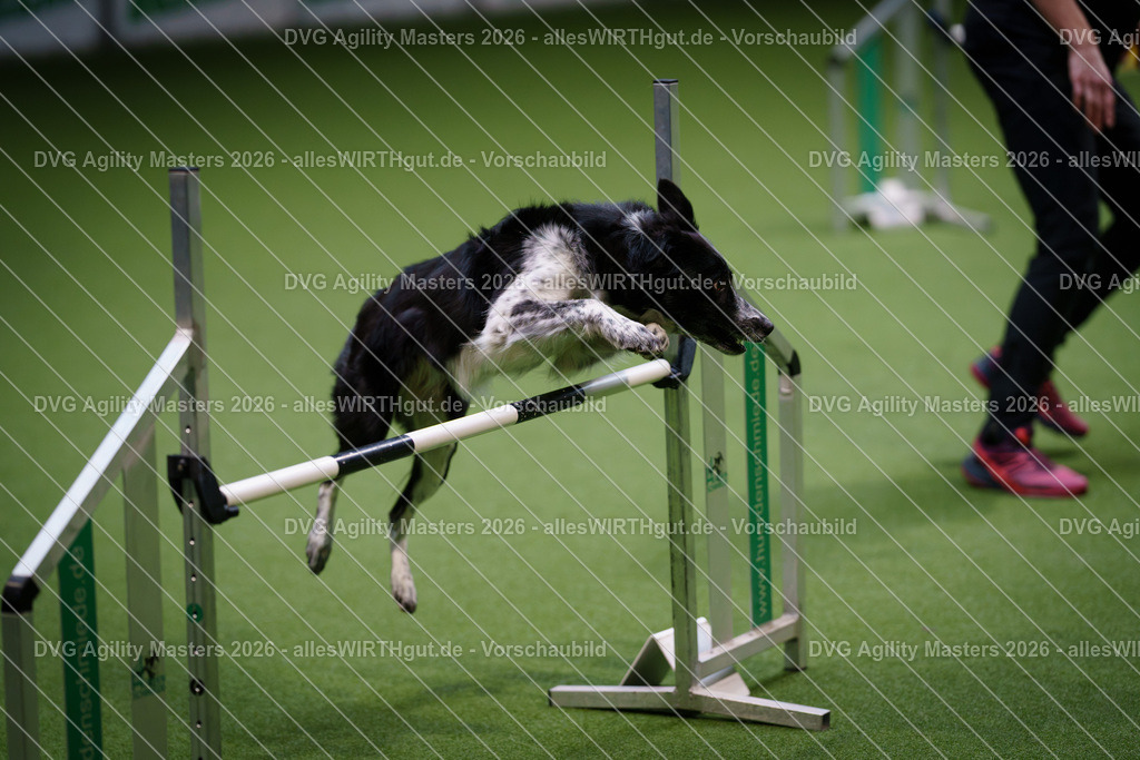 allesWIRTHgut_Tierfotografie-DVG_Agility_Masters_2026-14_52-7R501535 | Professionelle Tierfotografie in Mönchengladbach von Daniel Wirth (allesWIRTHgut). Liebevolle & natürliche Bilder von Hunden & Katzen für unvergessliche Erinnerungen.