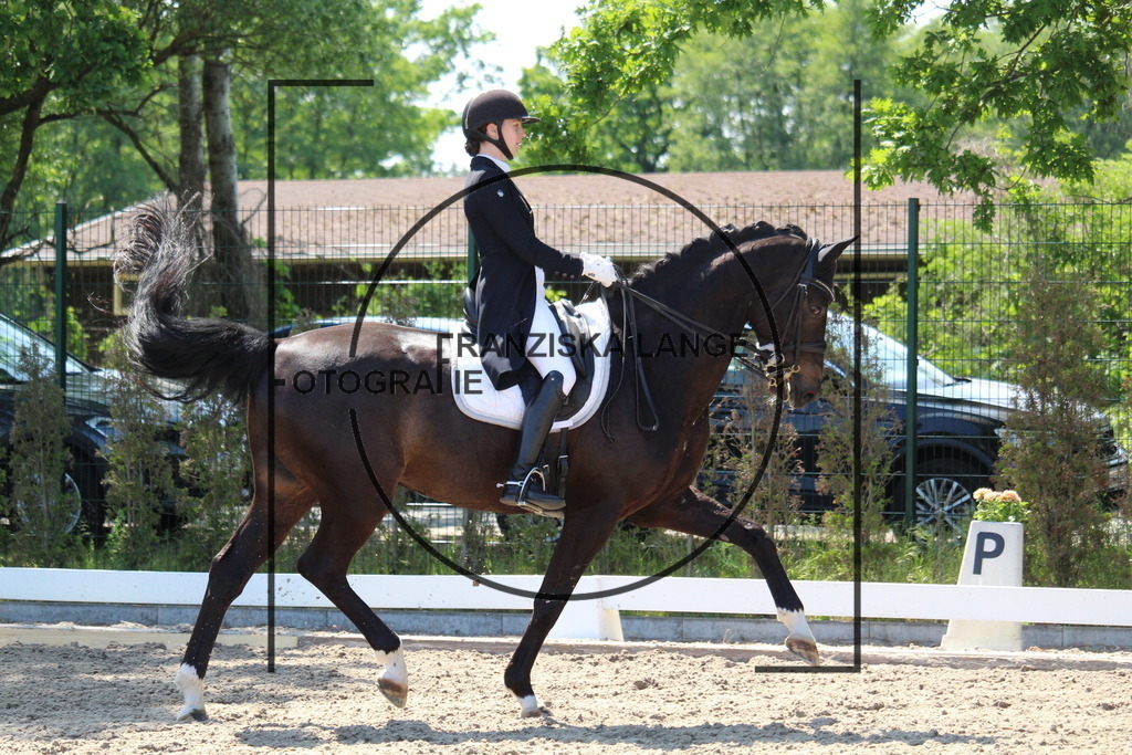 IMG_4673 | franziskalange - Realisiert mit Pictrs.com