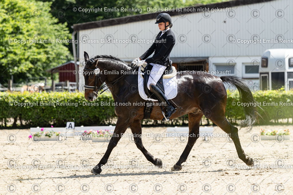 CL5A8100 | Emilia Reinking Fotografie - Realisiert mit Pictrs.com