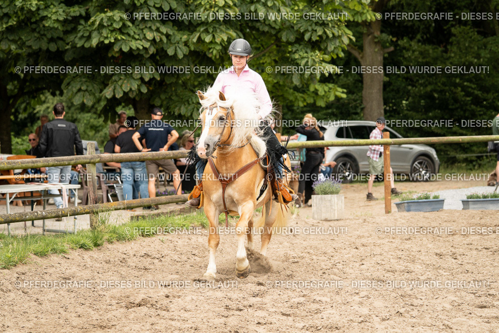 DSC00726 | Pferdegrafie