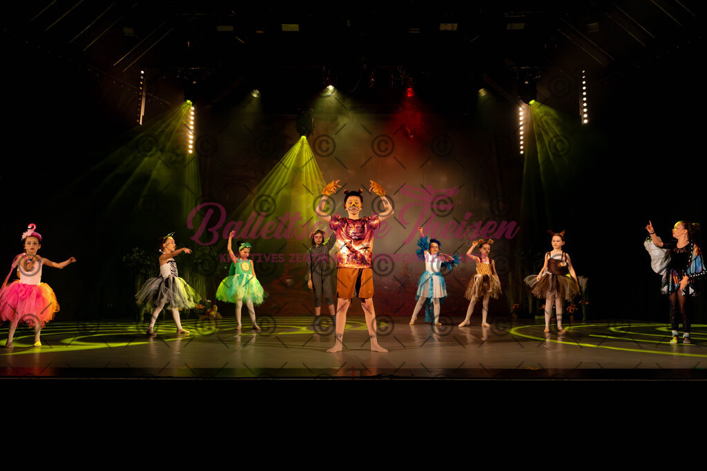 Ballettaufführung-461 | Bildershop Lem'n Entertainment - Realisiert mit Pictrs.com