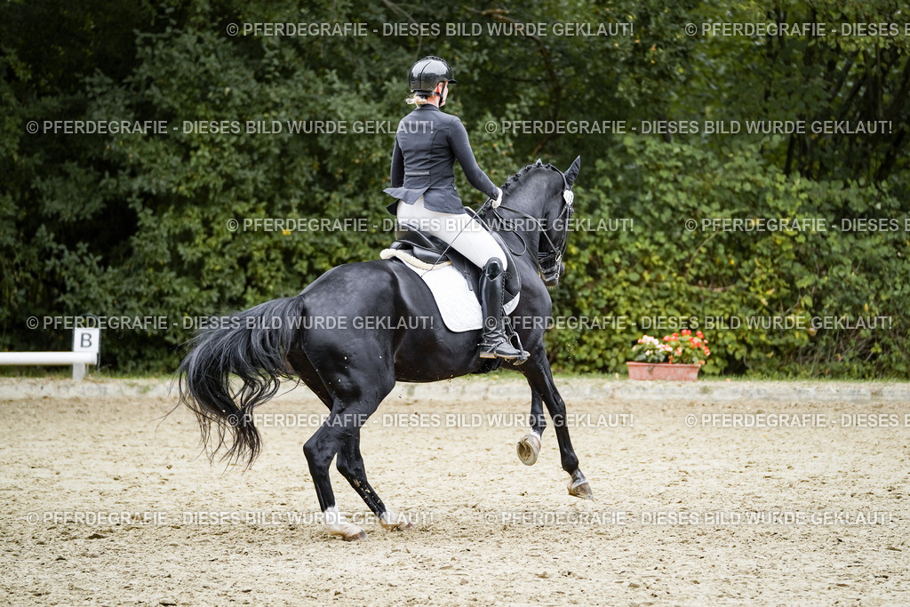 DSC02388 | Pferdegrafie