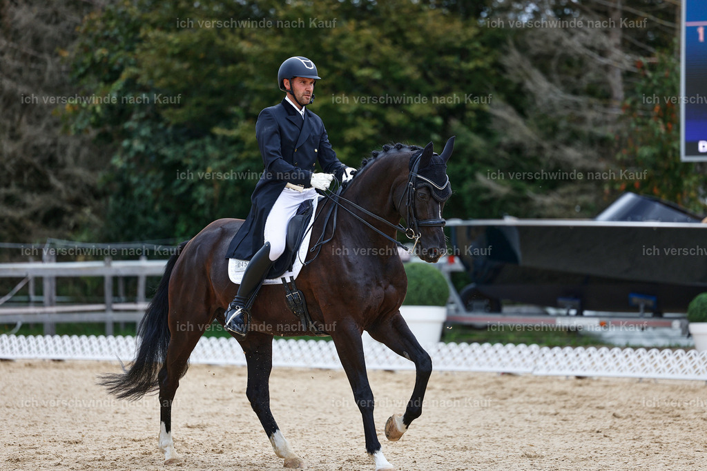 8_1-045-Klasse S_  -StoibPH-3808 | working equitationturnier fotograf videograf stoibphotography marixx film working equitation deutschland reitsport turnierfotografie eventfotografie equestrian events