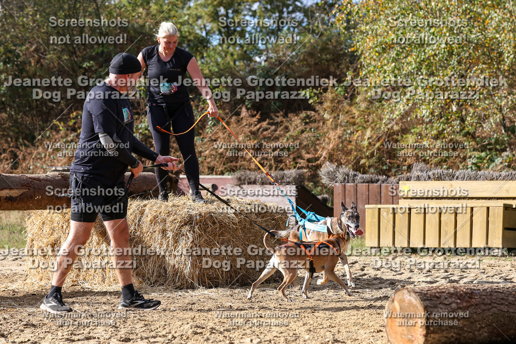 Dog Paparazzi - Strongdog 10-25-5304 | Dog Paparazzi Jeanette Grottendiek Fotografie & Videografie - Realisiert mit Pictrs.com