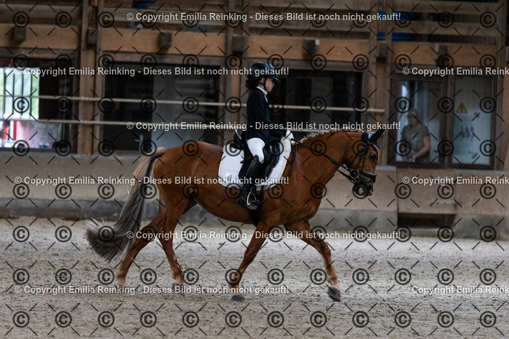 CL5A5397 | Emilia Reinking Fotografie - Realisiert mit Pictrs.com