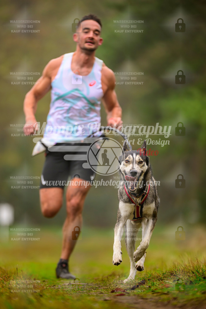 MompixPhotography_Bischwiller2025_Canicross-8 | mompixphotography