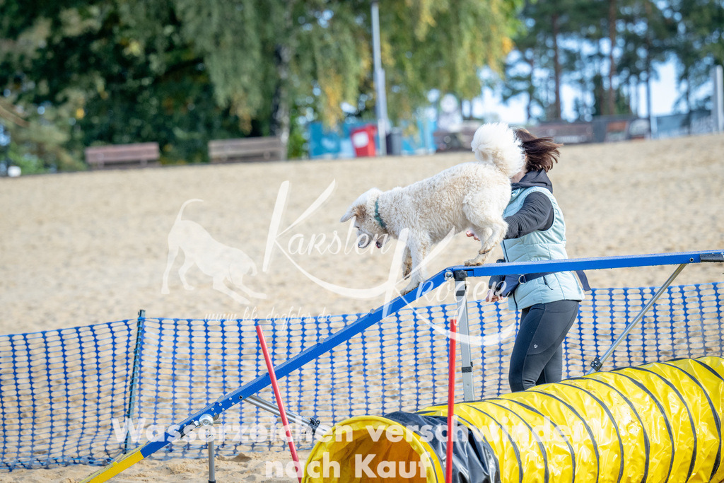 0956_ZZ93149 | kk-dogfotos