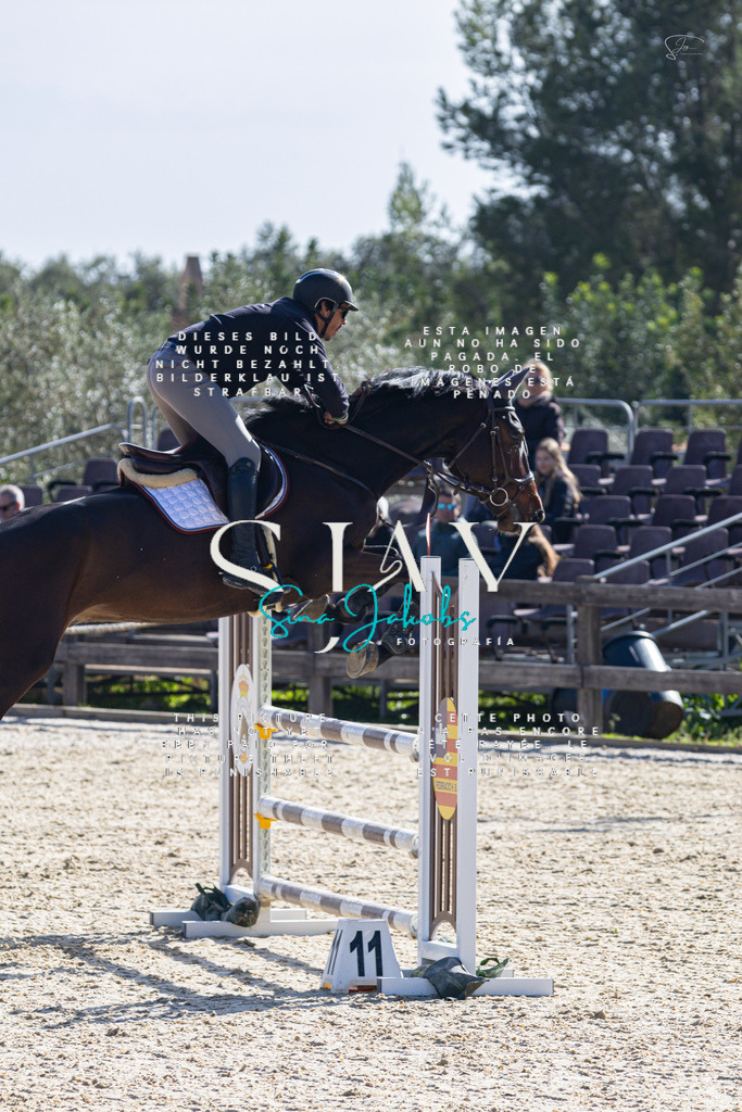 IMG_5281 | s-jay-photography - Realisiert mit Pictrs.com