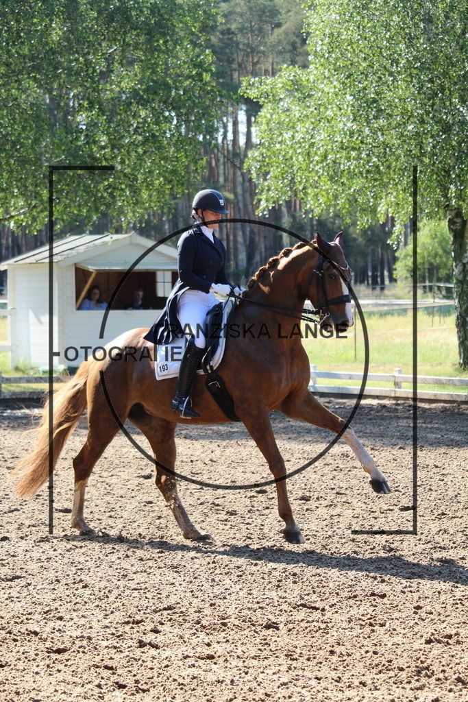 IMG_6419 | franziskalange - Realisiert mit Pictrs.com