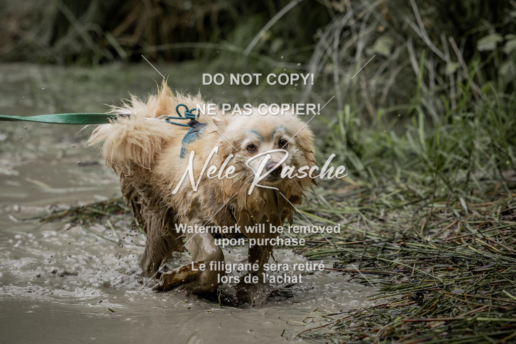 nelerasche_so1000-1030_11 | nelerasche
