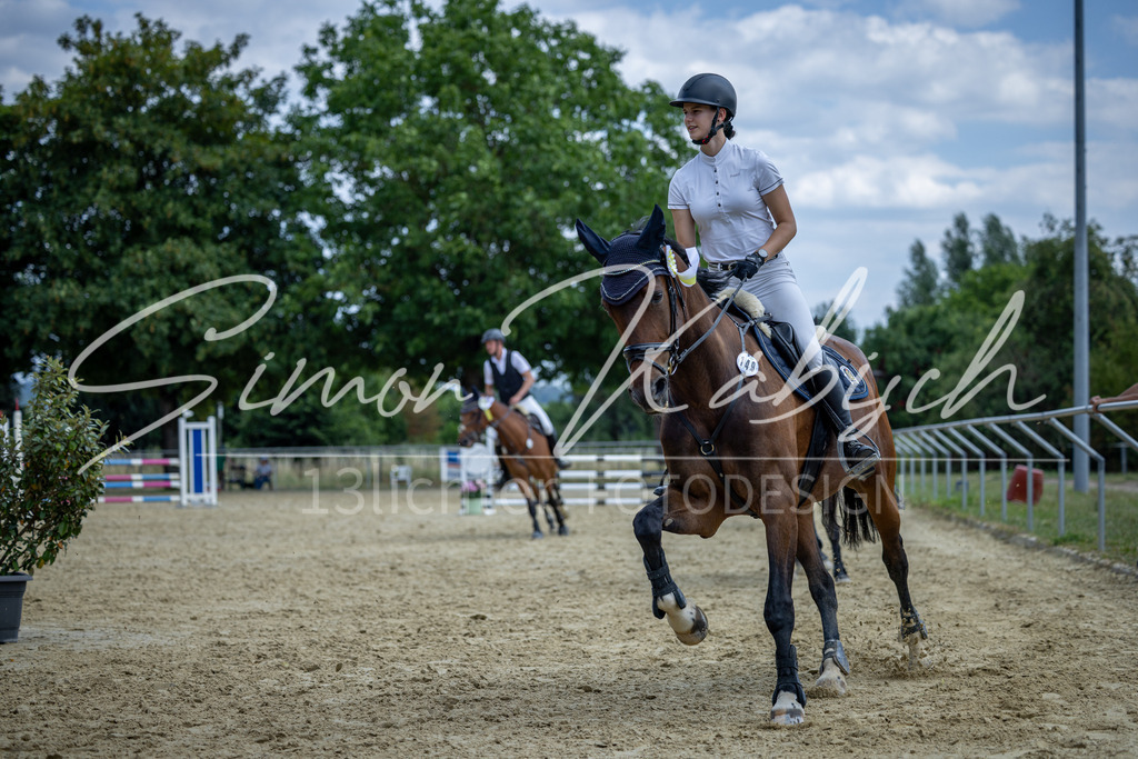 20260704-_3LI1258 | Tierfotografie Pferde, Hunde, Katzen, Haustiere.
Turnierfotografie Reitturniere, Reiten, Springreiten, Dressur in Hanau, dem Main-Kinzig-Kreis und dem Rhein-Main- Gebiet um Frankfurt