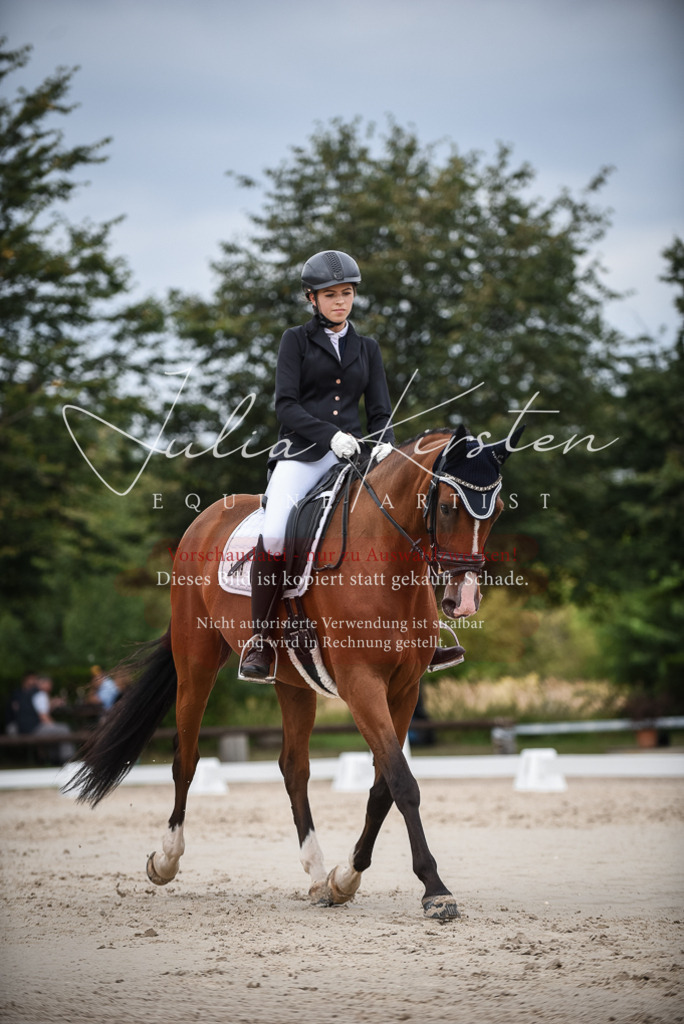 DSC_8399 | Pferde- und Turnierfotografie in Westsachsen. Pferdeportraits, Auftragszeichnungen und intuitive Kunst.