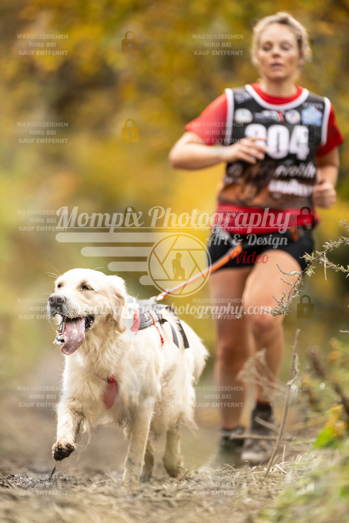 MompixPhotography_ICF_WC_2024_SA_Run_-167 | PayLife