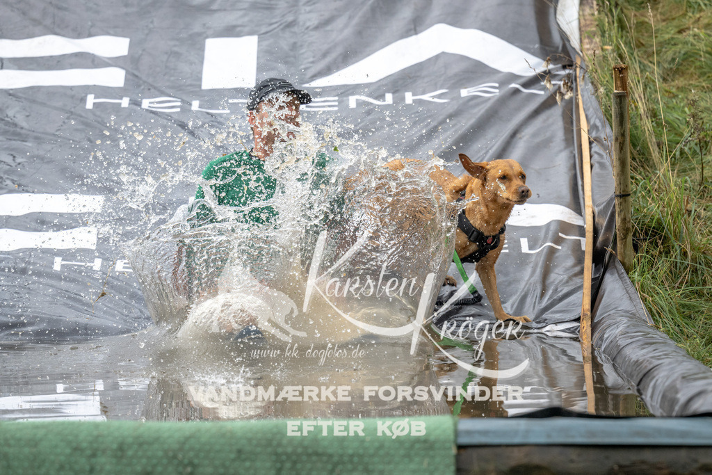 1208_ZZ94327 | kk-dogfotos