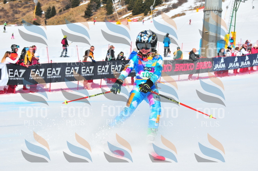 DSC_0825 | holidayphoto