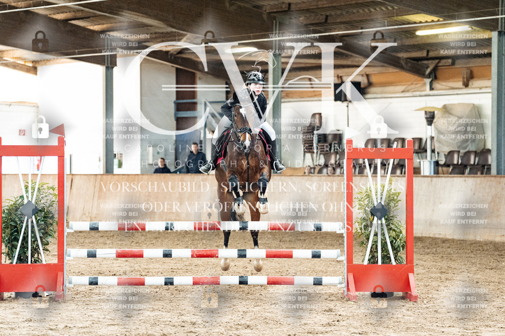 CK904540 | Turnierfotografie Pferdefotografie Trier Rheinland-Pfalz Pferdesport Reitsport Tierfotografie Sportfotografie Pferdevideo Pferdevideografie Equestrianvideography equestrianphotography  - Realized with Pictrs.com