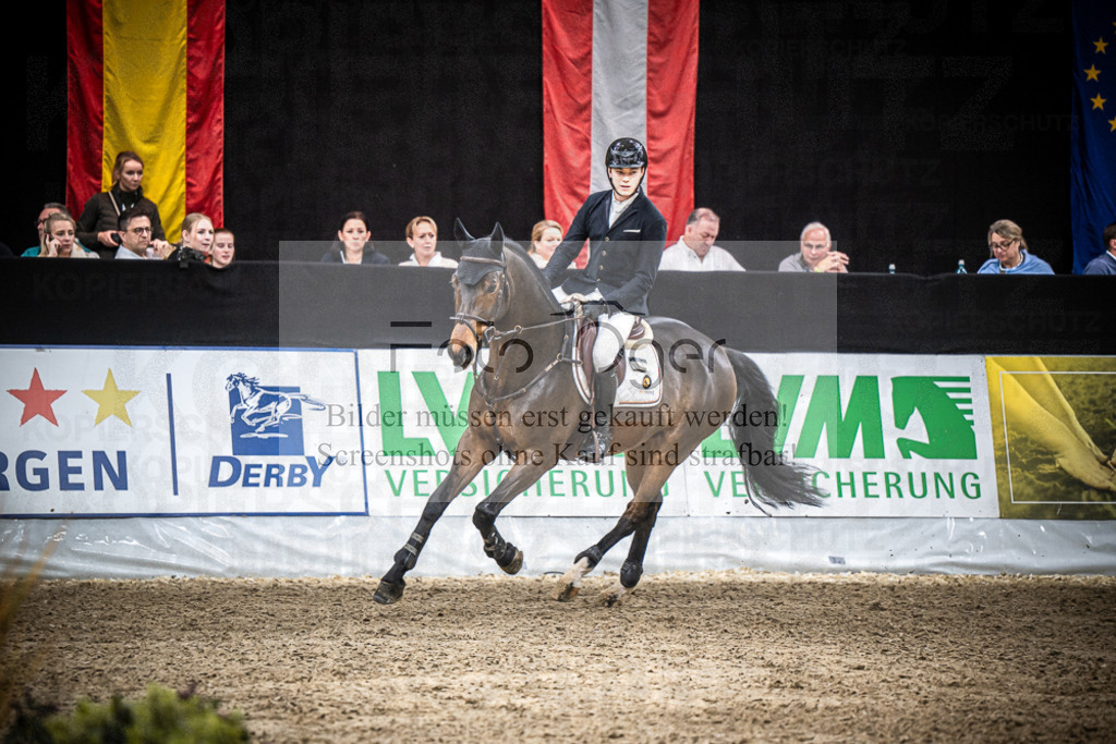 DOS_3328 | Entdecke hochwertige Reitturnierfotos von Foto Oger. Professionell, emotional und authentisch – jetzt Lieblingsmomente im Shop bestellen.Deutschlandweite Turnierfotografie. - Realisiert mit Pictrs.com