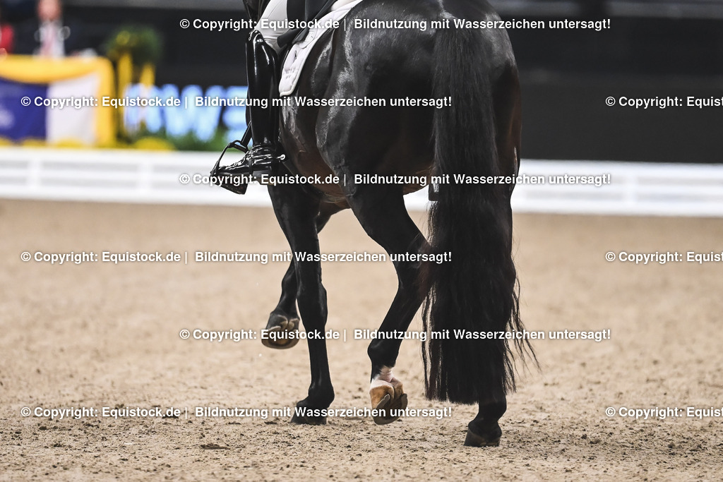 20241116_Dressur-Kür_TOMsPiC_0010 | Foto: Thomas Hartig