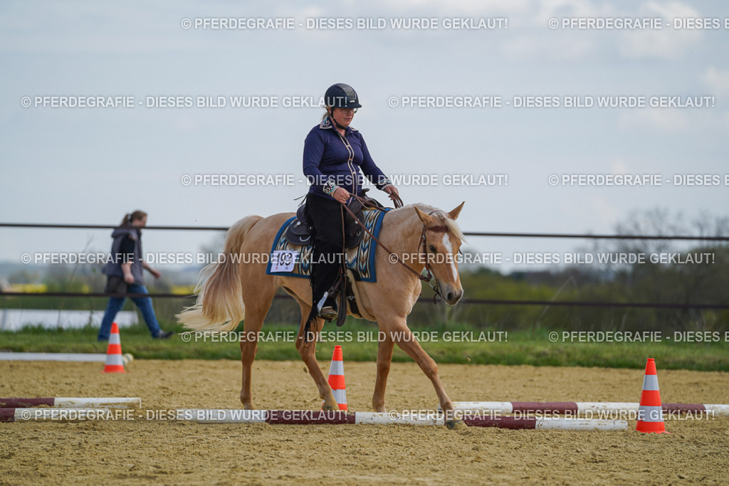 DSC05125 | Pferdegrafie