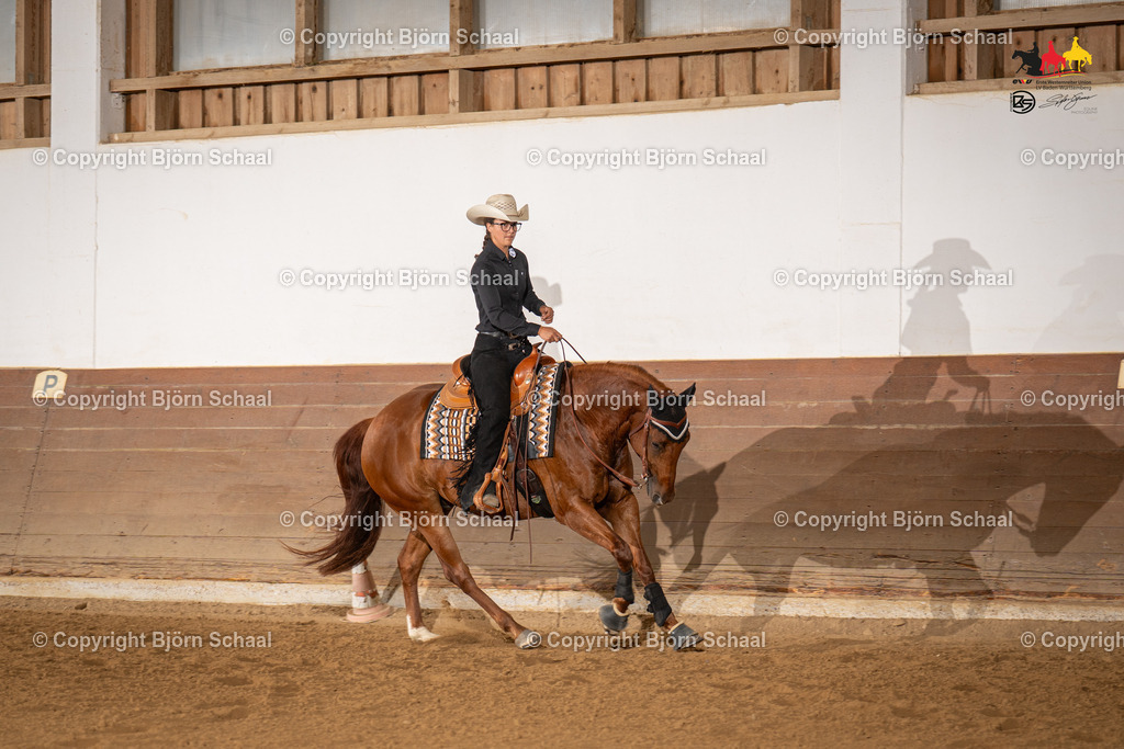 LMS06529 | BS-foto