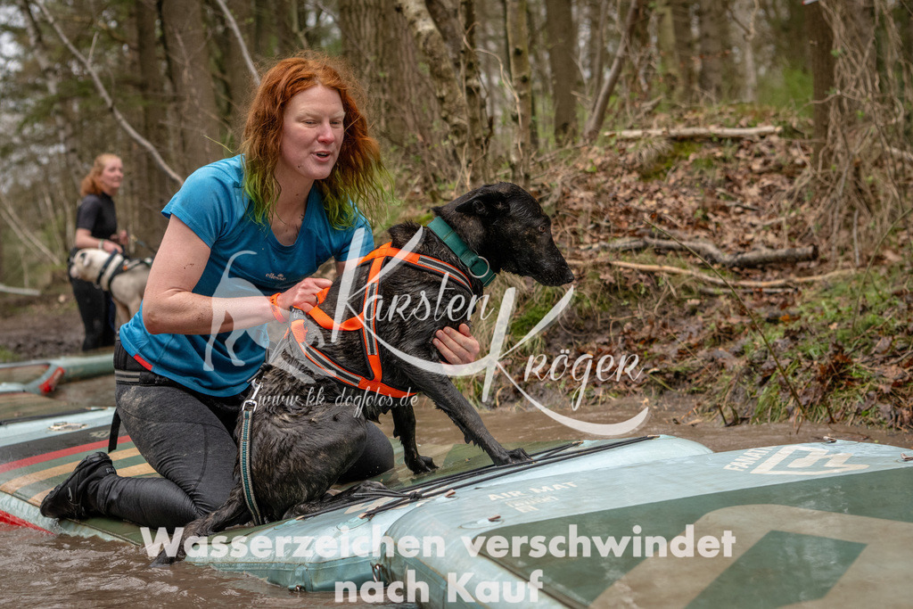 1137_ZZ93763 | kk-dogfotos