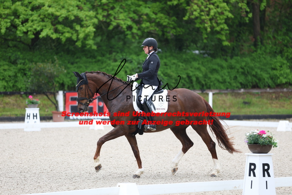 A40A7200 | lmwpictures - Realisiert mit Pictrs.com