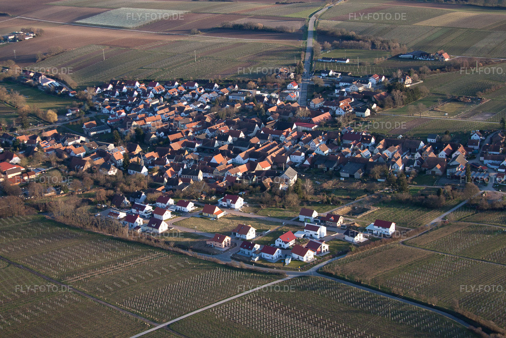 Luftbild: landwirtschaftlichen Feldern und Nutzflächen in Impflingen im Bundesland Rheinland-Pfalz in Deutschland. Foto: IMG_62219.jpg vom 23.02.2014 durch Werner Riehm/FLY-FOTO.de