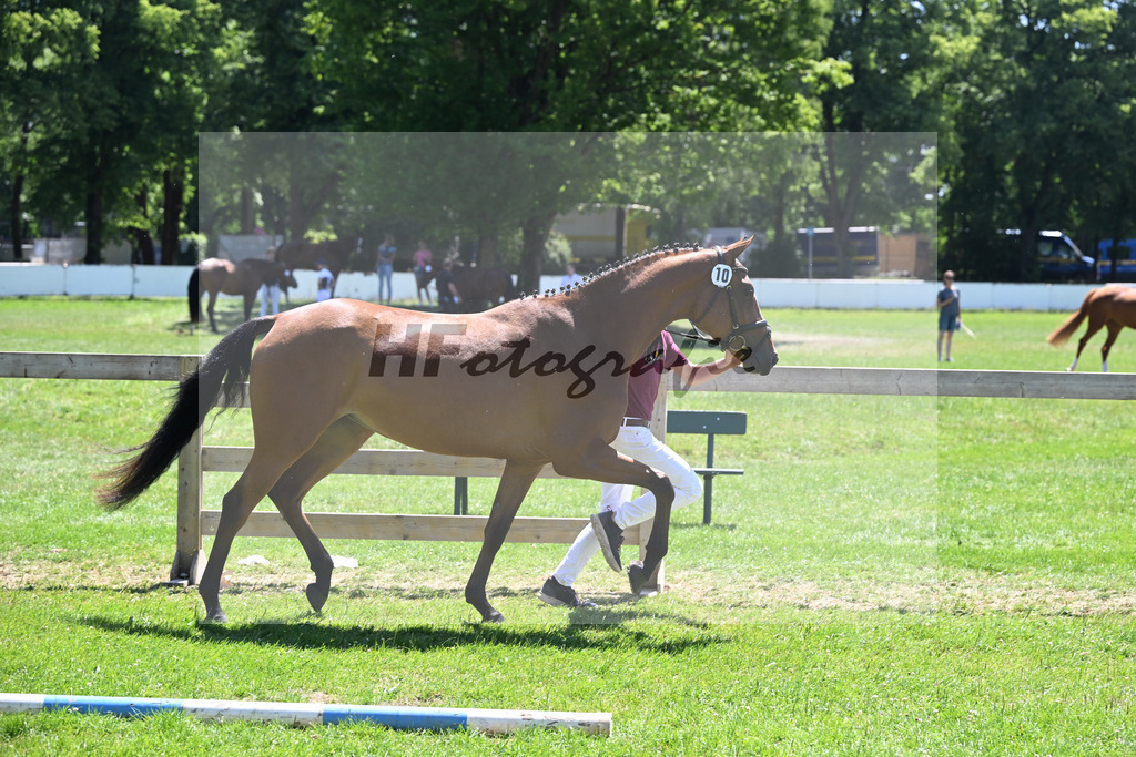 Kat-Nr. 10 Emmi Gertrud v. Vingino_Rameder_19250320 | hf-fotografie - Realizzato con Pictrs.com