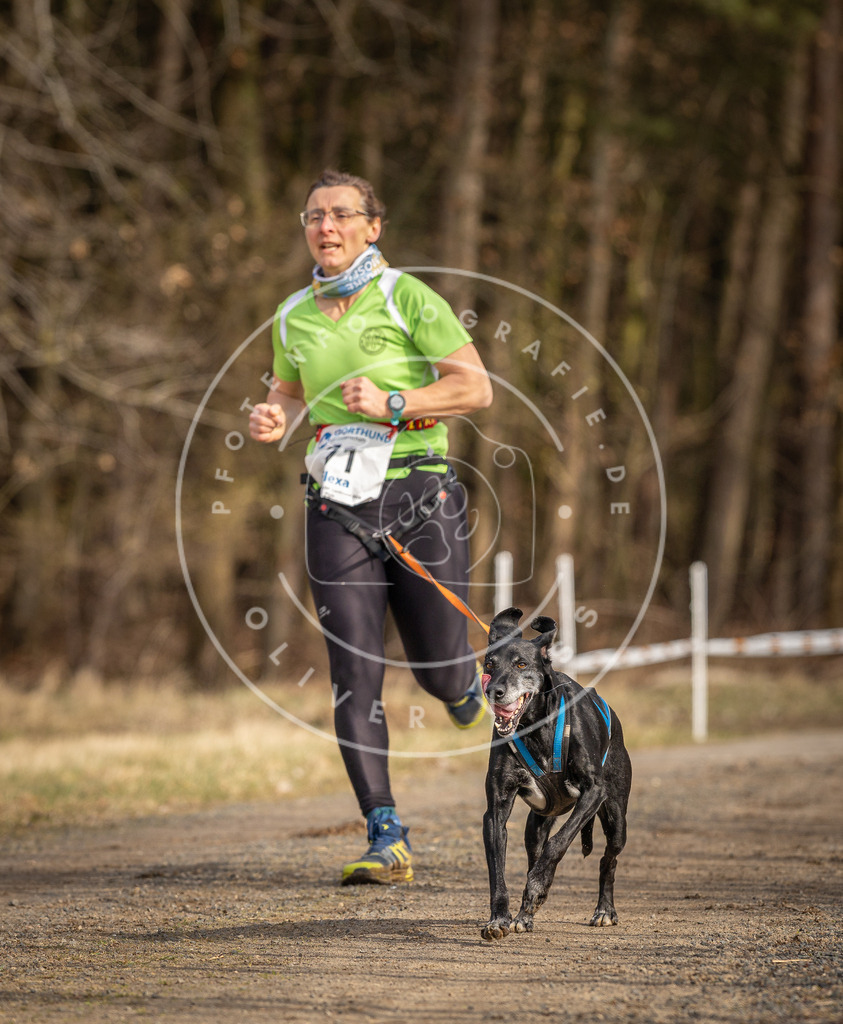 DV3A3718 | Hundefotografie, Tierfotograf, Pfotenfotografie, Fotoshooting Hund, Hunde Portrait, Hundesport, Hundeportraits, Heideshooting, Hunde, Sportfotograf, Hundefotograf, Turnierhundsport, THS,  - Realisiert mit Pictrs.com