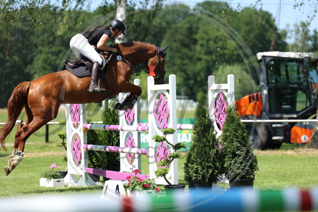 994A2771 | sabrinanicolaifotografie - Realisiert mit Pictrs.com