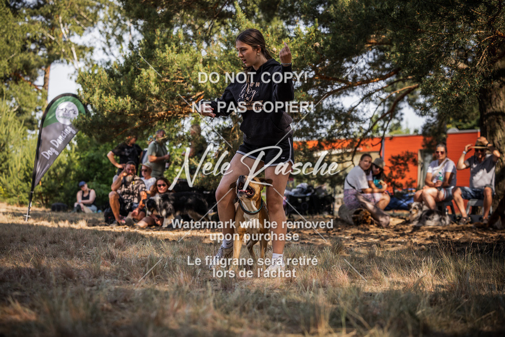 nelerasche_soDD1_366 | nelerasche