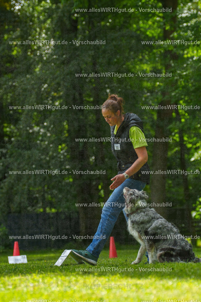 @allesWIRTHgut_Tierfotografie - www.allesWIRTHgut.de - 7R505851 | Professionelle Tierfotografie in Mönchengladbach von Daniel Wirth (allesWIRTHgut). Liebevolle & natürliche Bilder von Hunden & Katzen für unvergessliche Erinnerungen.