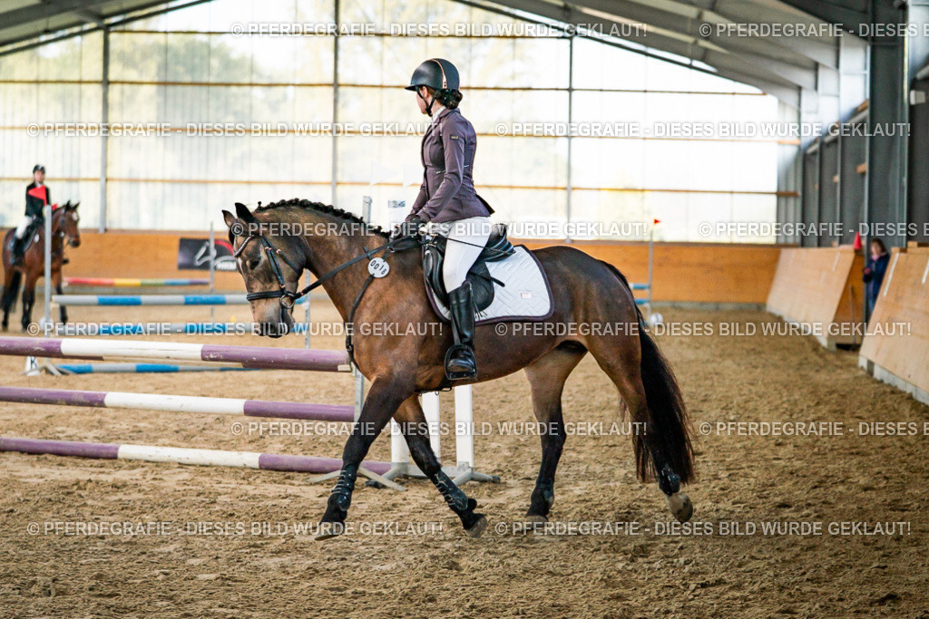 DSC00593 | Pferdegrafie