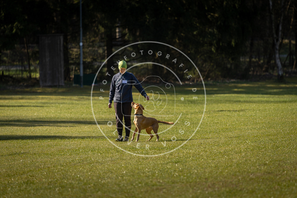 Pfotenfotografie_DV3A0103 | Hundefotografie, Tierfotograf, Pfotenfotografie, Fotoshooting Hund, Hunde Portrait, Hundesport, Hundeportraits, Heideshooting, Hunde, Sportfotograf, Hundefotograf, Turnierhundsport, THS,  - Realisiert mit Pictrs.com