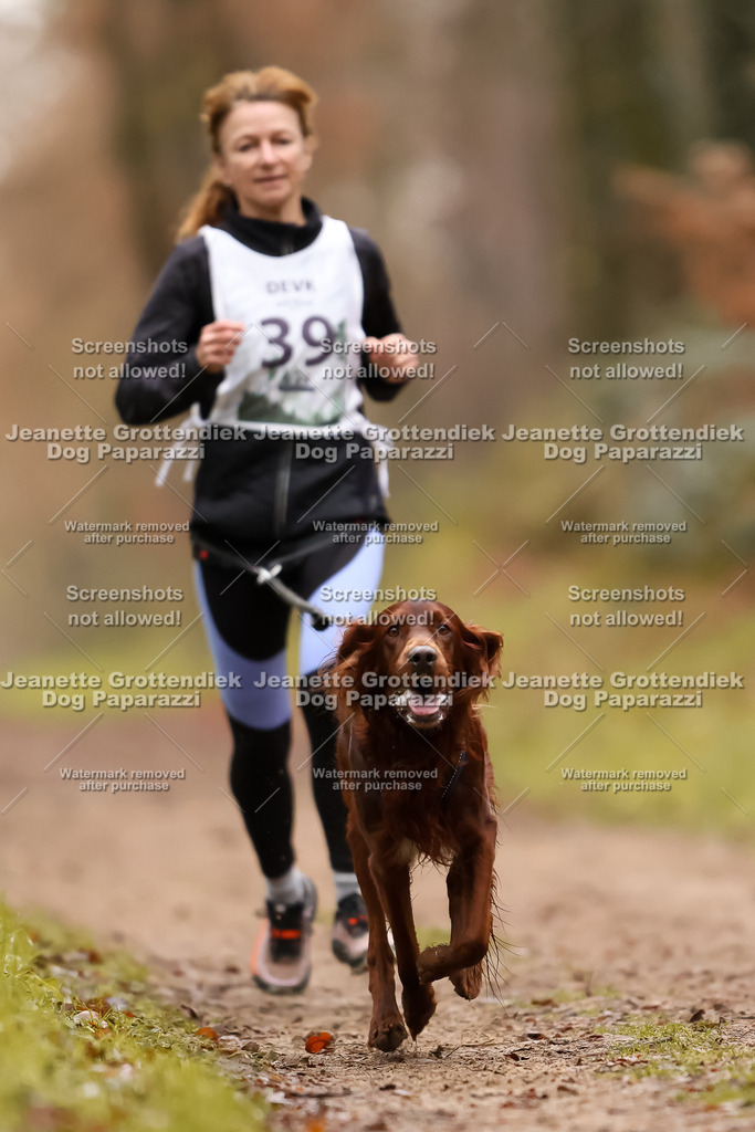 Dog Paparazzi - Speedhunter Mannheim  2025-100 | Dog Paparazzi Jeanette Grottendiek Fotografie & Videografie