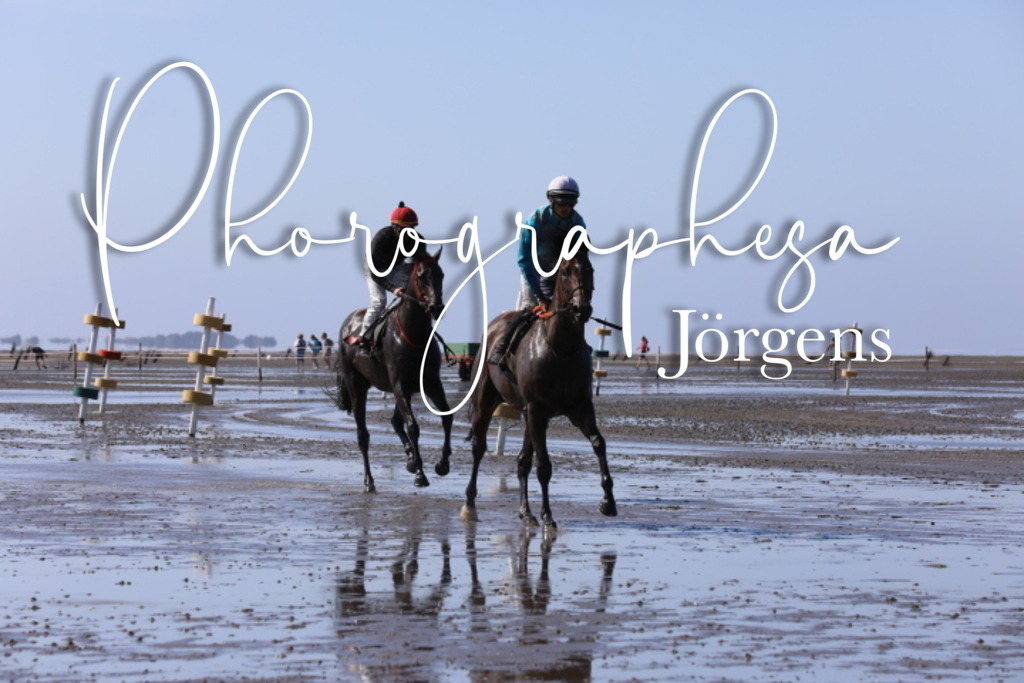 IMG_0028 | photographesa-joergens - Realisiert mit Pictrs.com