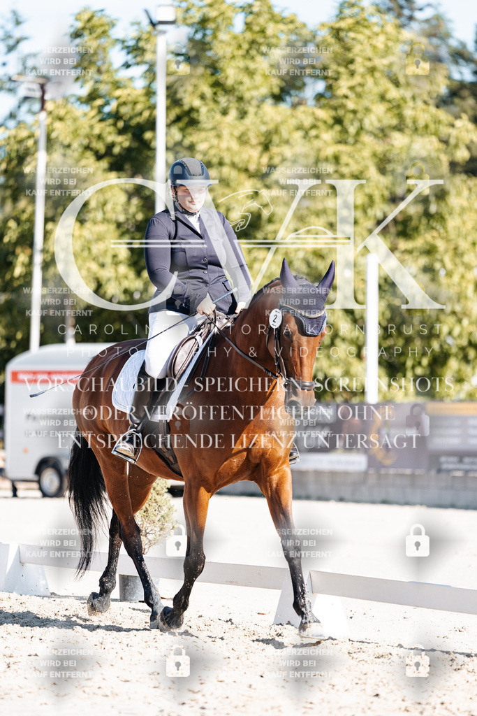 CK908052 | Turnierfotografie Pferdefotografie Trier Rheinland-Pfalz Pferdesport Reitsport Tierfotografie Sportfotografie Pferdevideo Pferdevideografie Equestrianvideography equestrianphotography  - Realisiert mit Pictrs.com