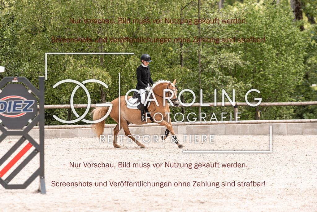 DSC_0543 | Turnierfotografin Carolin Gieschke, Turnierfotografie Carolin G Fotografie, Turnierfotos Kirchheim/Teck, Esslingen, Stuttgart, Bodenseekreis