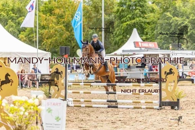 26-8-7 SPR A++-198 | mandyhollmannphotographie
