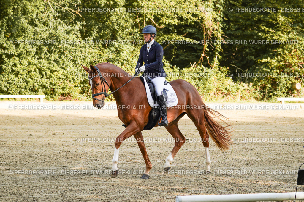 DSC05325 | Pferdegrafie