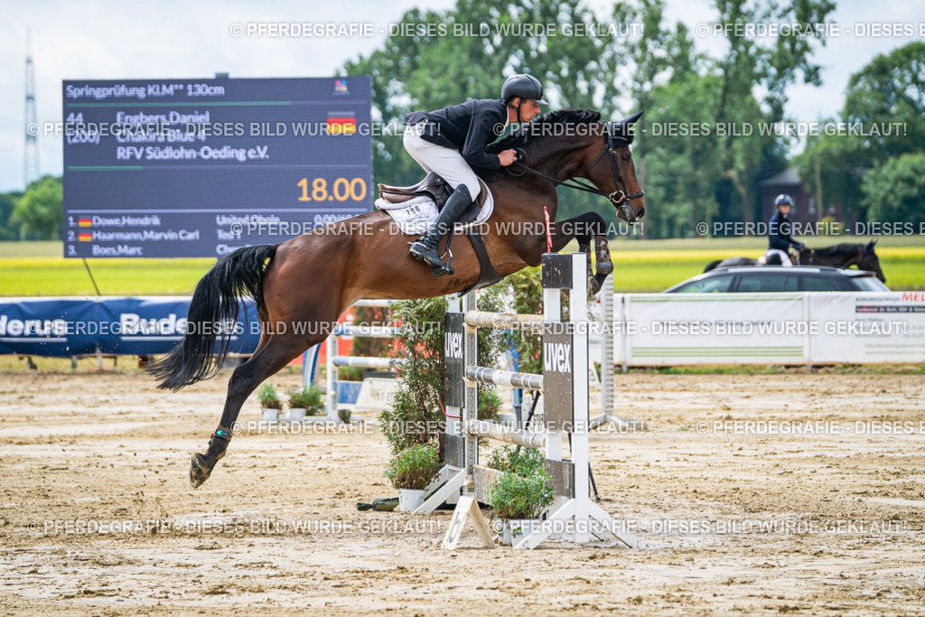 DSC04719 | Pferdegrafie